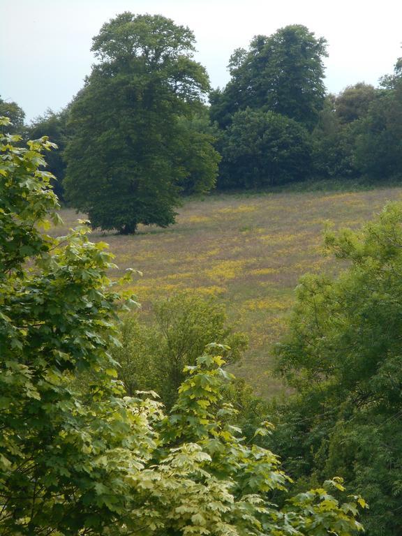 Diamond Hill Country House Waterford Luaran gambar