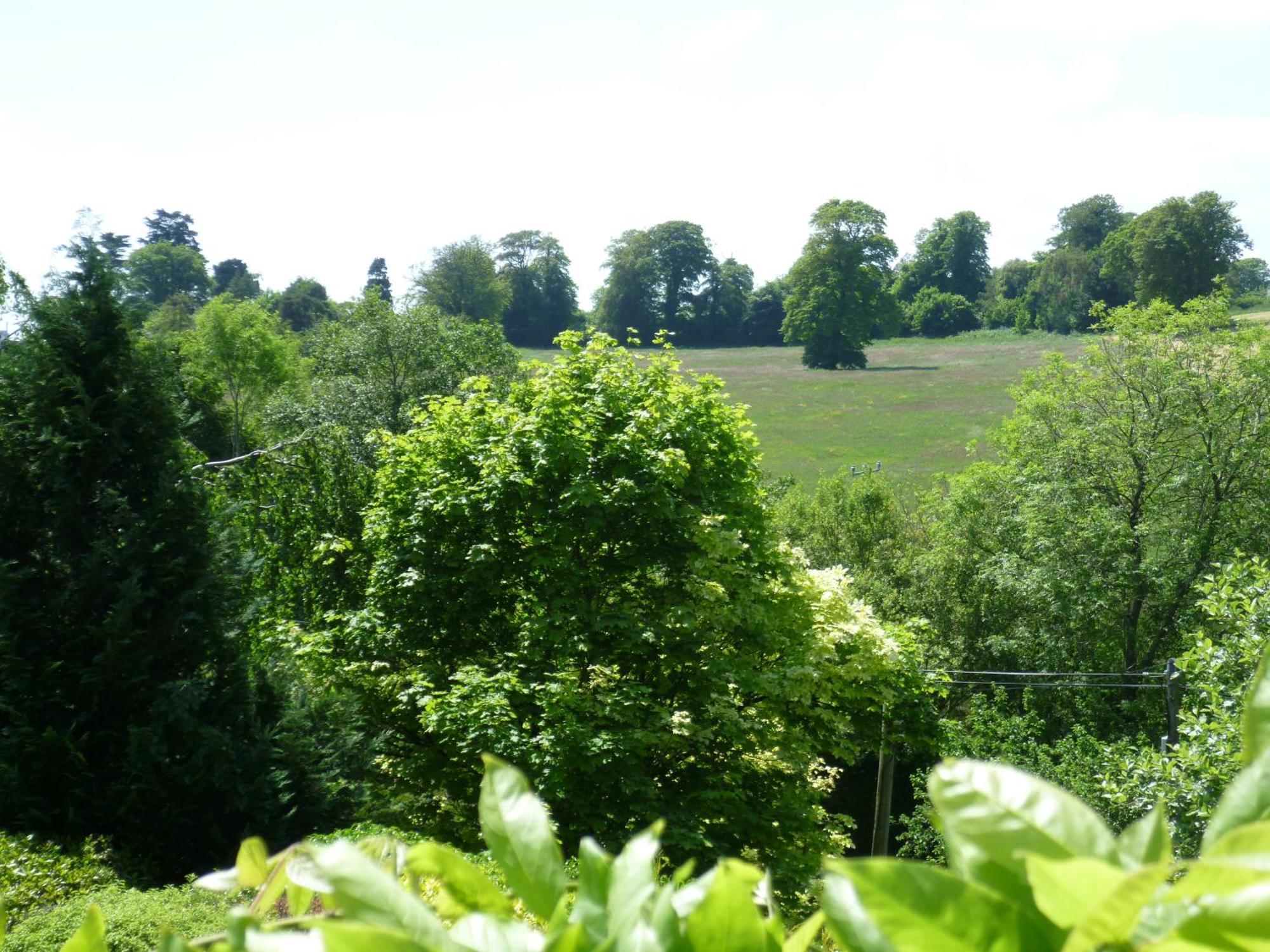 Diamond Hill Country House Waterford Luaran gambar