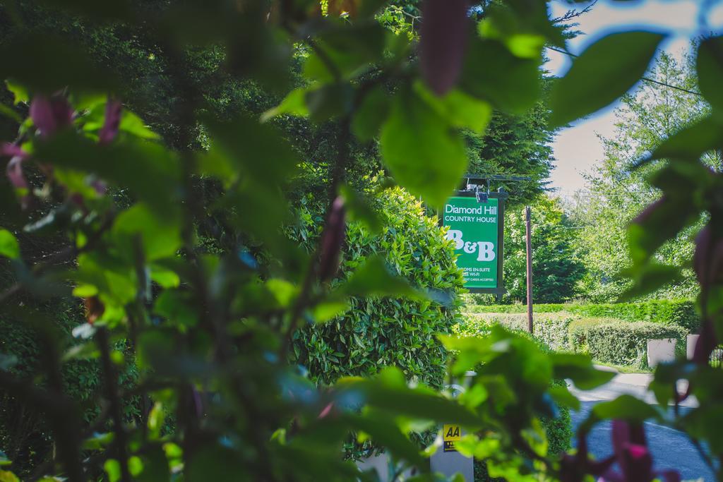 Diamond Hill Country House Waterford Luaran gambar